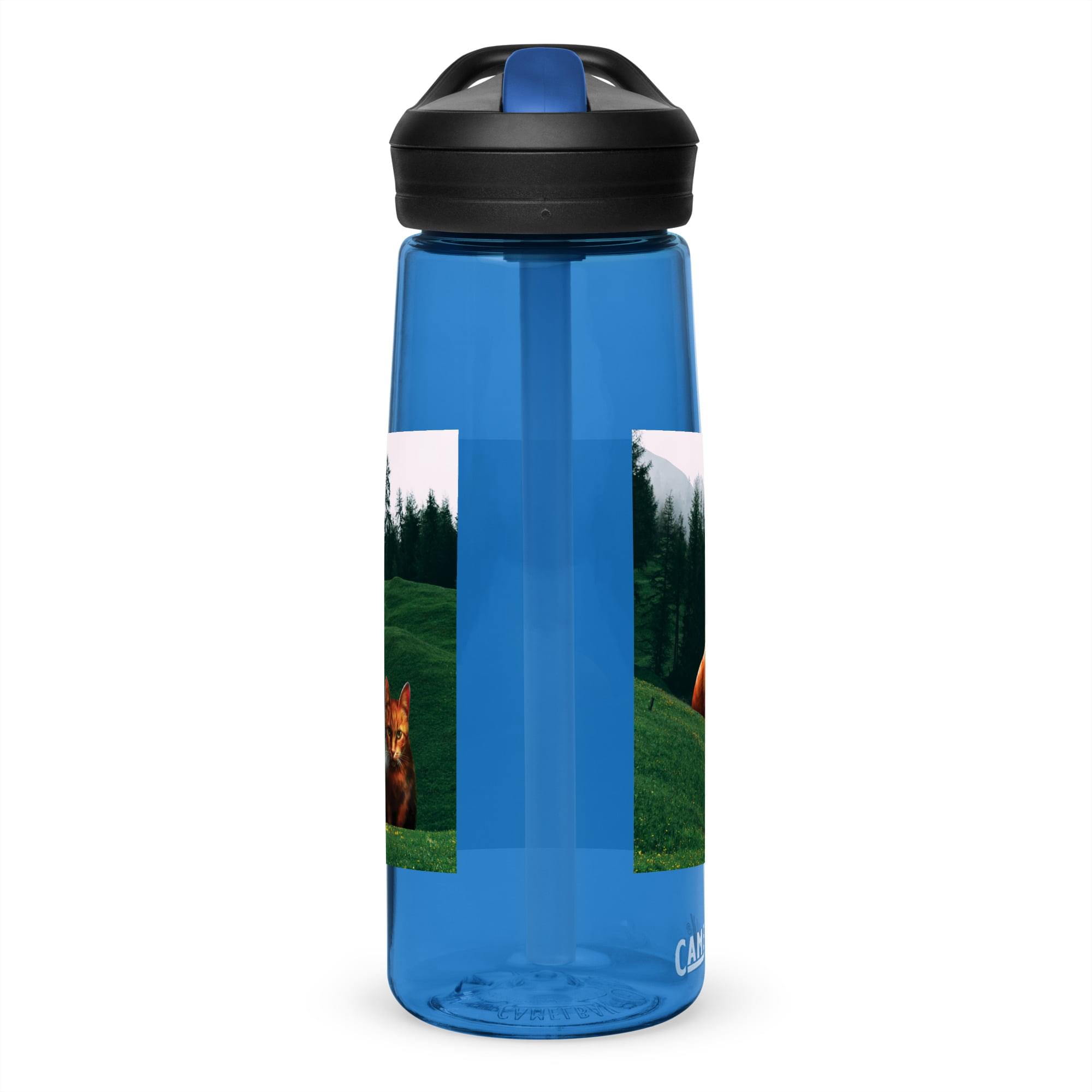 Sports water bottle